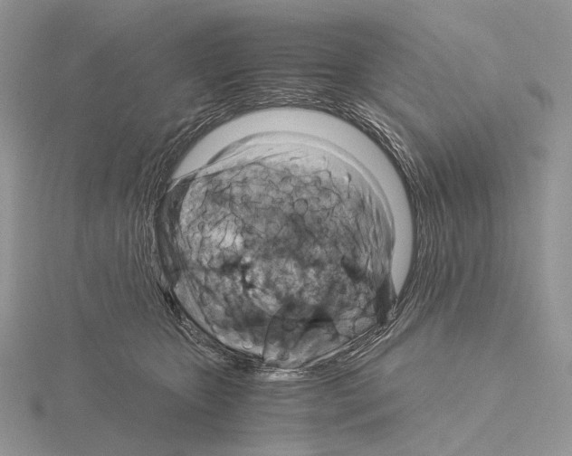 X0000115150467200912081350