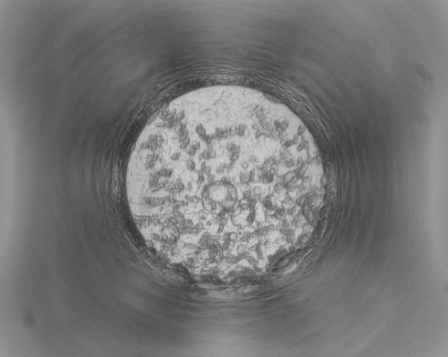 X0000115150470200912081350