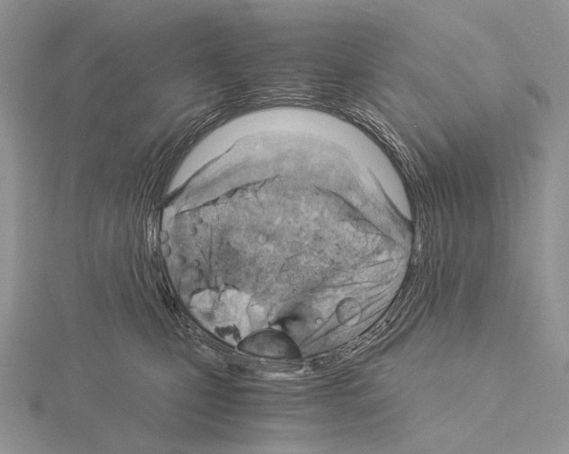 X0000115150471200912081350