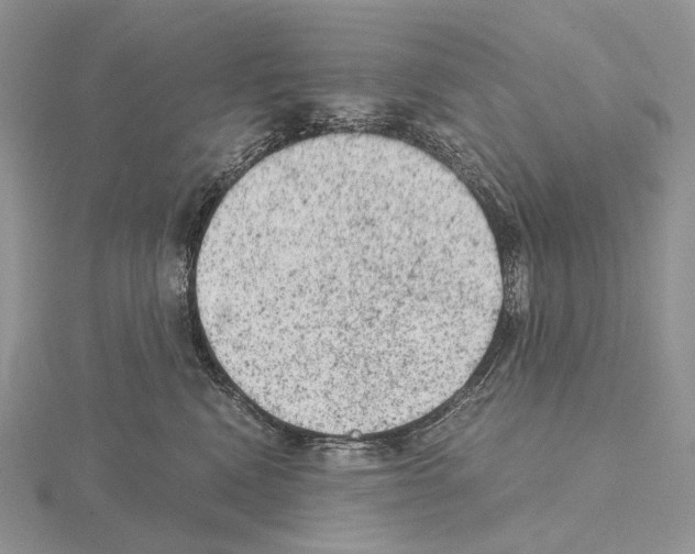 X0000115150472200912081350