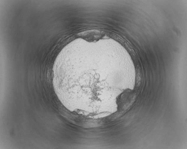 X0000115150473200912081351