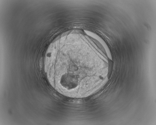 X0000115150475200912081351