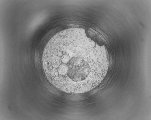 X0000115150477200912081351