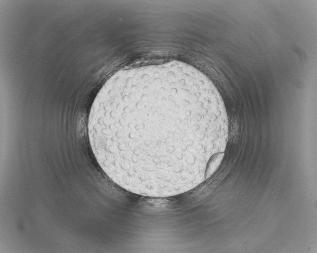 X0000115150478200912081351