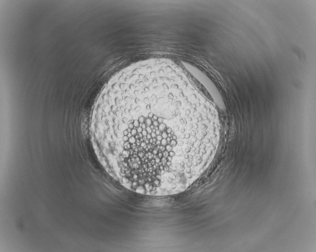 X0000115150479200912081351