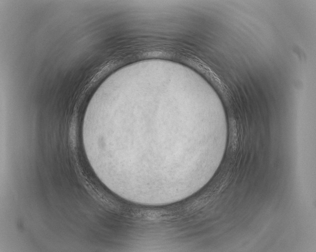 X0000115150482200912081350