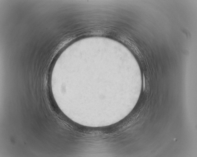 X0000115150483200912081350