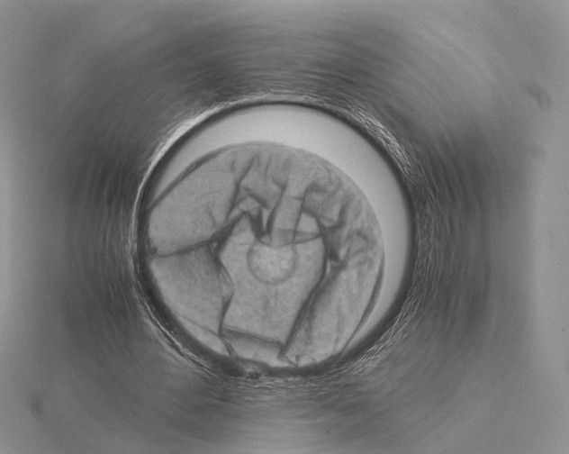 X0000115150484200912081350