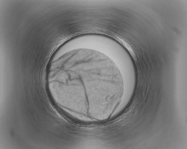 X0000115150485200912081350