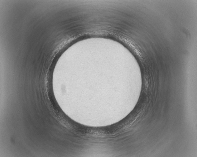 X0000115150487200912081350