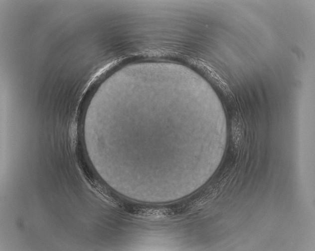 X0000115150488200912081350