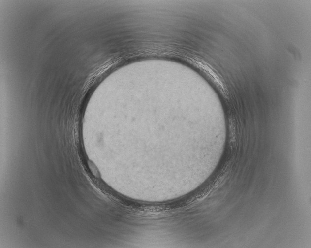 X0000115150489200912081350