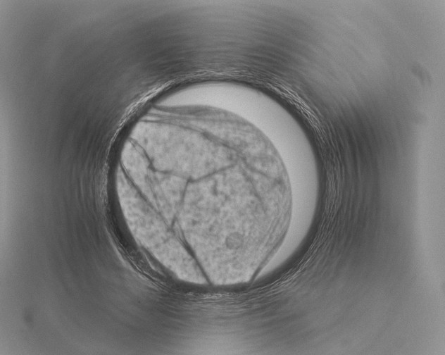 X0000115150492200912081350