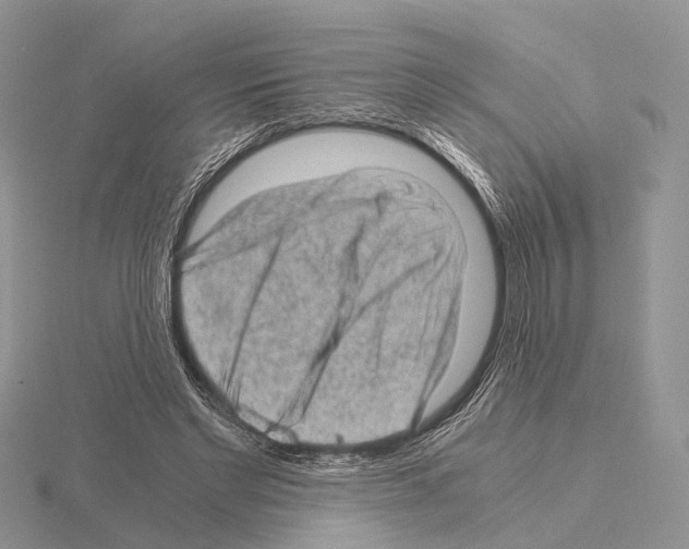 X0000115150493200912081350