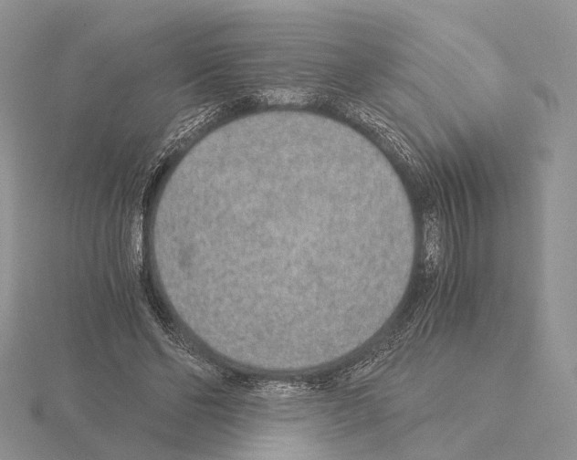 X0000115150494200912081350