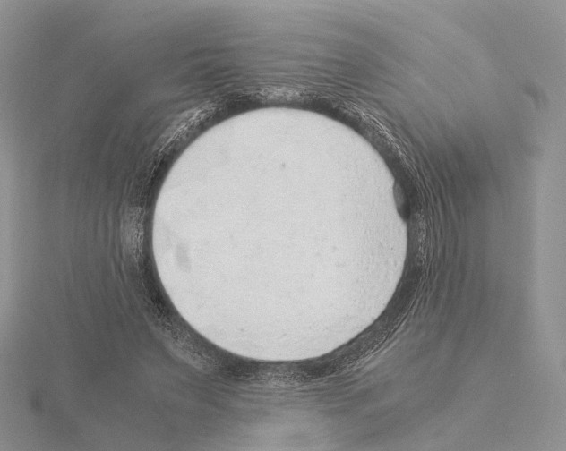 X0000115150495200912081350