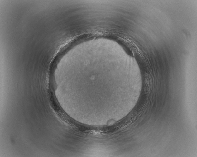 X0000115150496200912081350