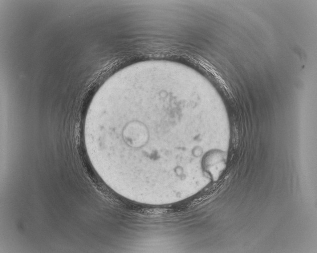 X0000115150497200912081350