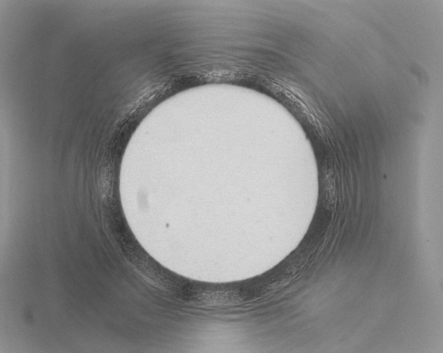 X0000115150499200912081350