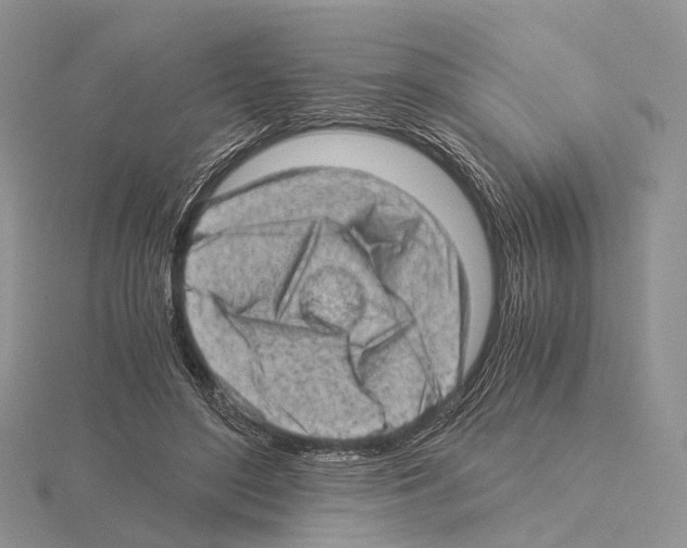 X0000115150500200912081350