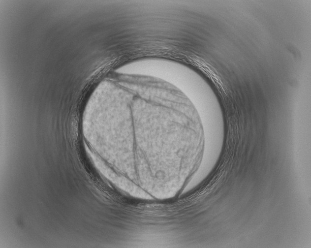 X0000115150501200912081350