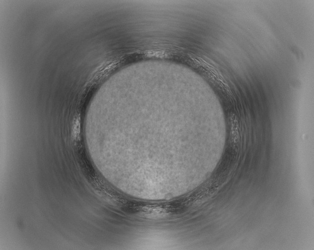 X0000115150502200912081350