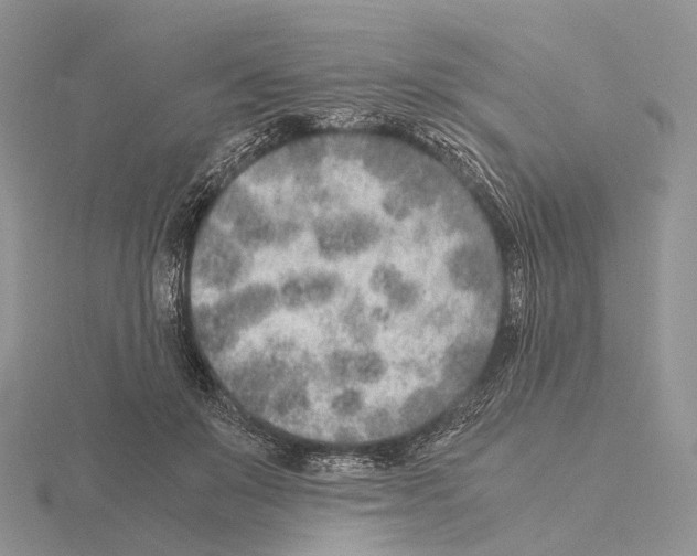 X0000115150503200912081350