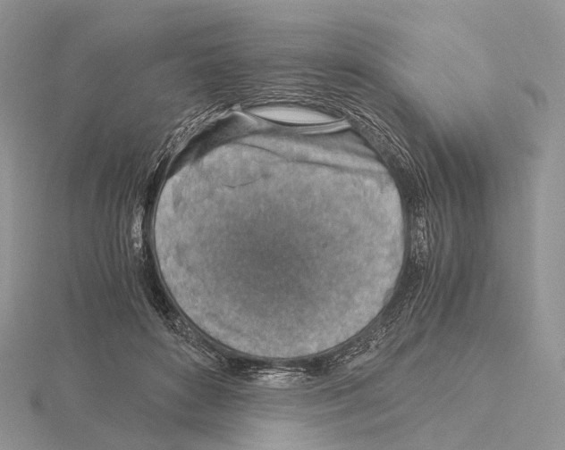 X0000115150504200912081350