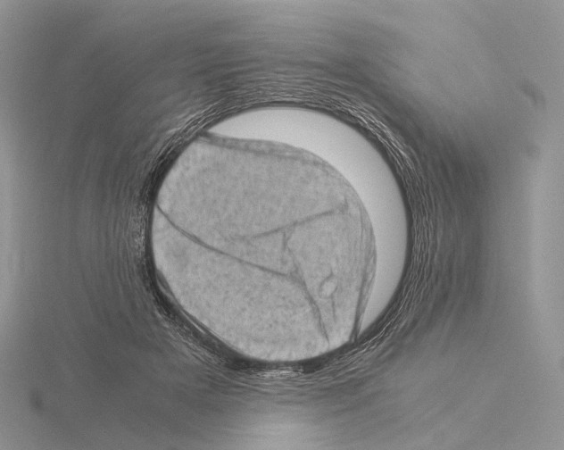 X0000115150505200912081350