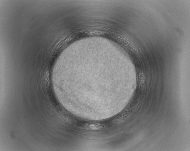 X0000115150506200912081350