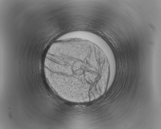 X0000115150508200912081350