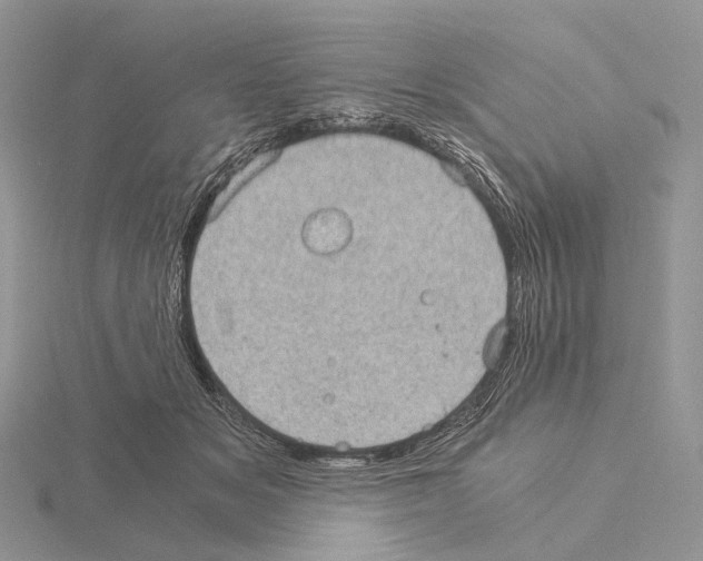 X0000115150509200912081350