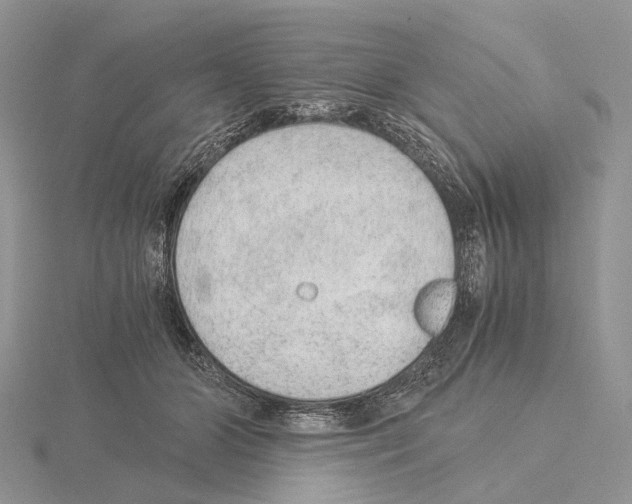 X0000115150510200912081350