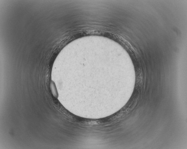 X0000115150513200912081350