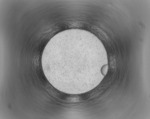 X0000115150514200912081350