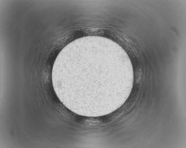 X0000115150515200912081350