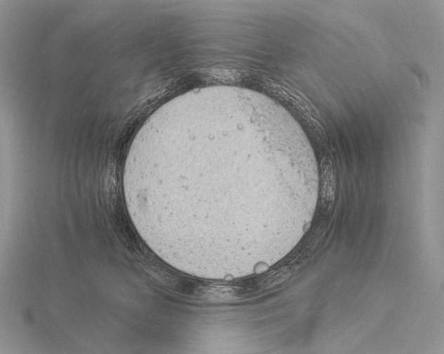 X0000115150518200912081349