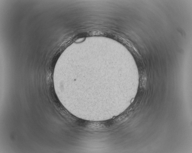 X0000115150521200912081349