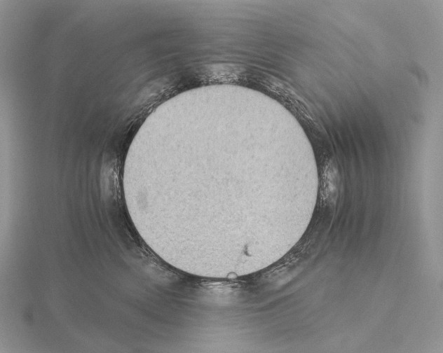 X0000115150522200912081349