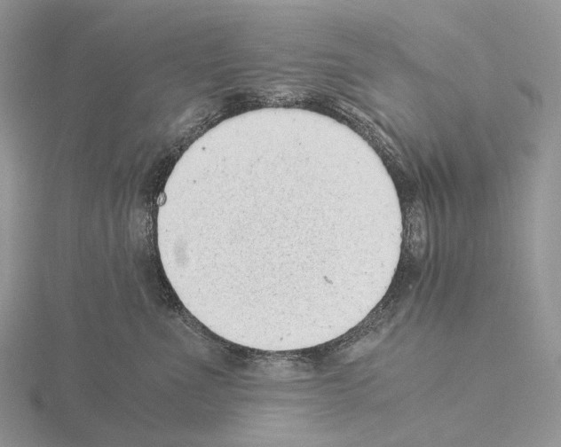 X0000115150523200912081349