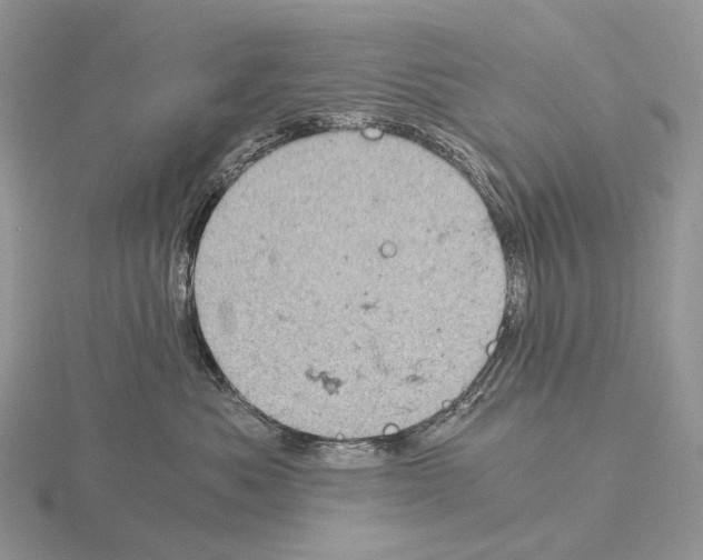 X0000115150525200912081349