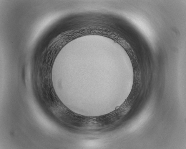 X0000115150526200912081349