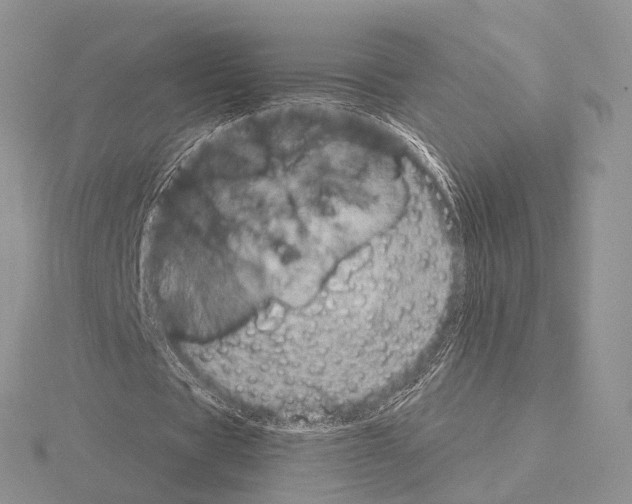 X0000115150529200912081349