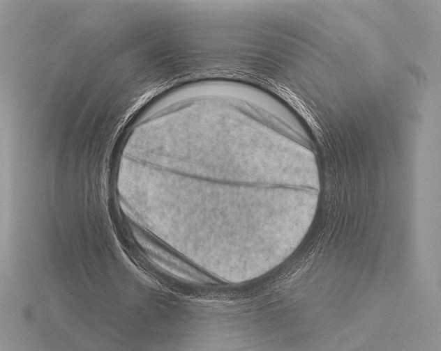 X0000115150530200912081349