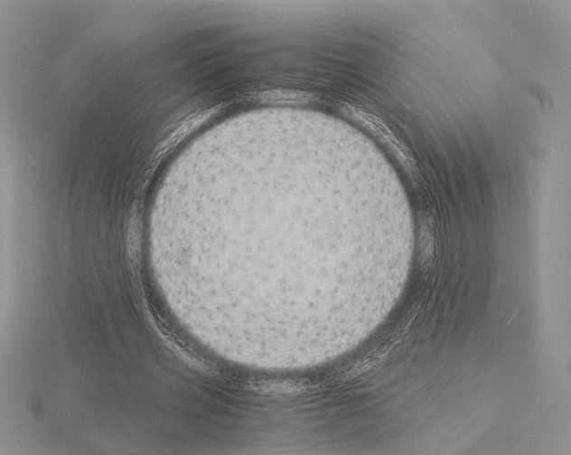 X0000115150533200912081349