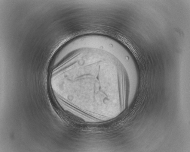 X0000115150534200912081349