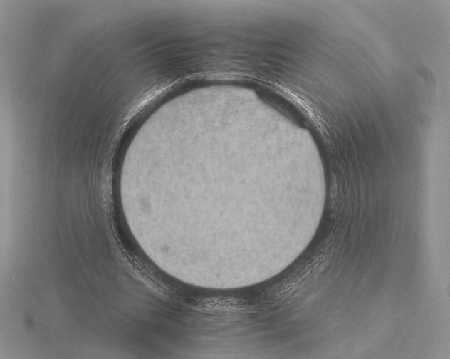 X0000115150535200912081349