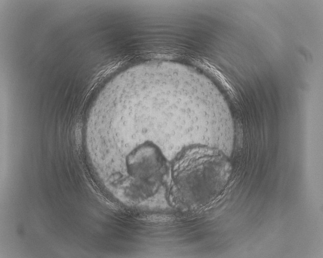 X0000115150537200912081349