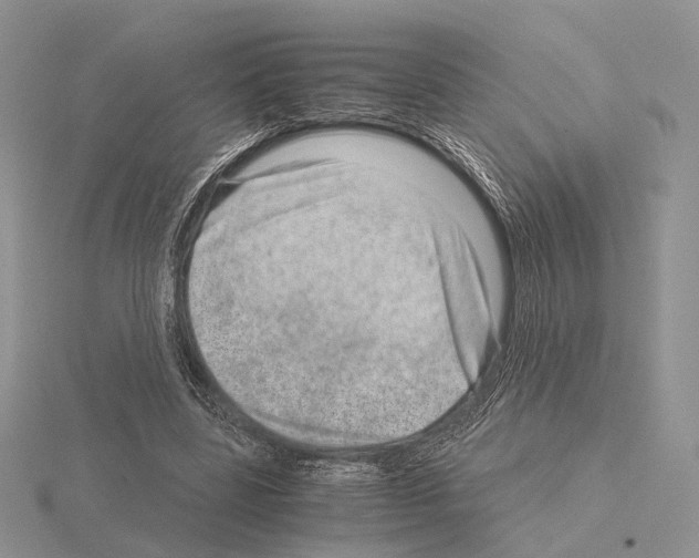 X0000115150539200912081349