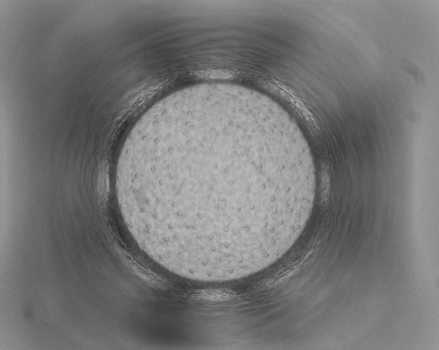 X0000115150541200912081349